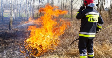 Ile zarabiają strażacy? Tak płacą w Państwowej Straży Pożarnej
