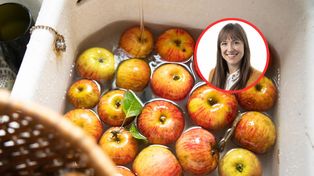 Toksyczne dla bakterii jelitowych. "Zaskoczyła nas siła ich działania"