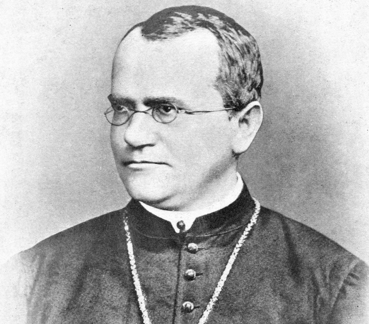 Gregor Mendel, zakonnik, prekursor genetyki