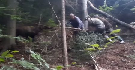 Bohaterski wyczyn leśników. Wideo z Nadleśnictwa Dynów podbija sieć
