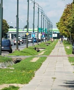 Ulica Puławska zmieni się nie do poznania. Radni przyznali 40 mln zł na przebudowę