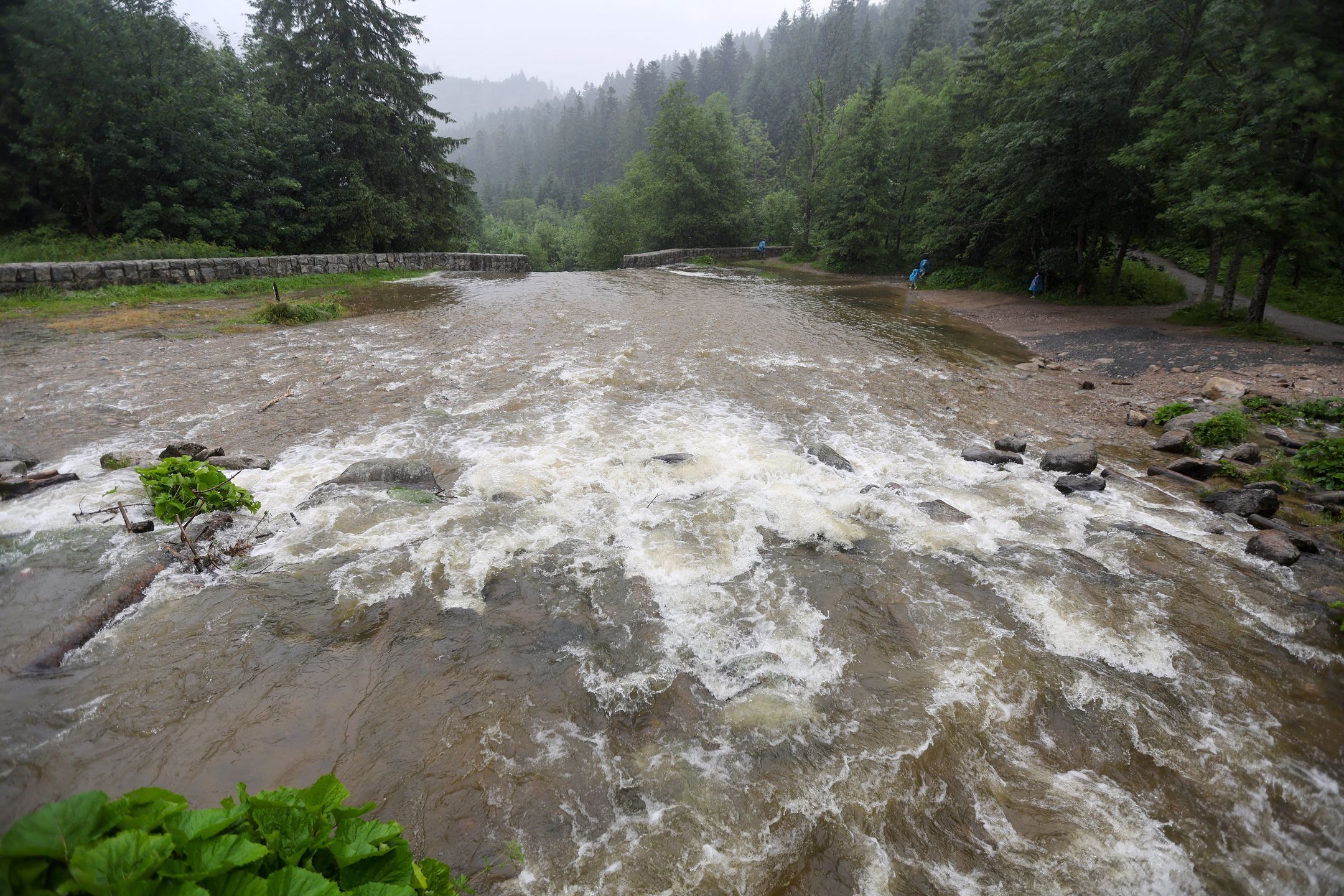 wezbrany potok
Grzegorz Momot
burza, deszcz, g�ry, nawa�nica, szlak turystyczny, Tatry, turystyka g�rska, ulewa, atmosferyczne, podtopienia, z�e warunki