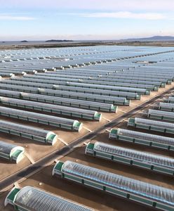 Głód w Korei Północnej. Kim Dzong Un zamienia lotniska w szklarnie