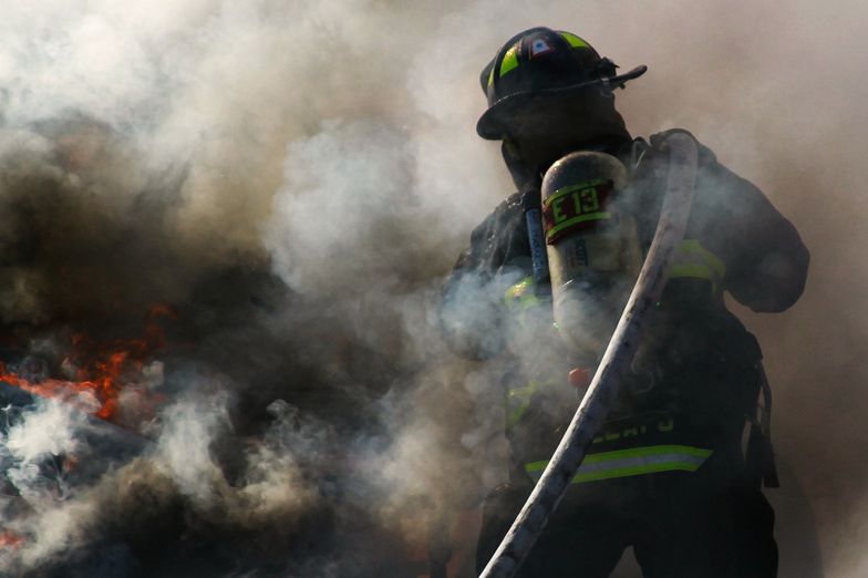 Pożary lasów. Armia wsparła strażaków walczących z żywiołem