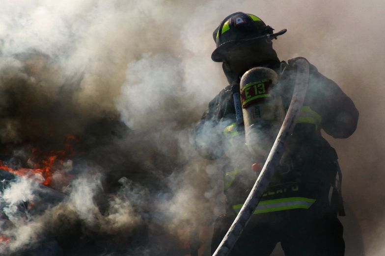 Pożary lasów. Armia wsparła strażaków walczących z żywiołem