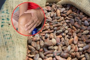 Najlepsze źródła manganu w diecie. Gdzie szukać ważnego pierwiastka?