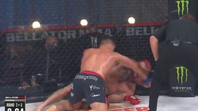 MMA. Bellator 244. Wyniki gali. Nemkow sensacyjnie znokautował Badera (wideo)