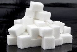 Susza uderza w produkcję cukru. Będzie droższy?