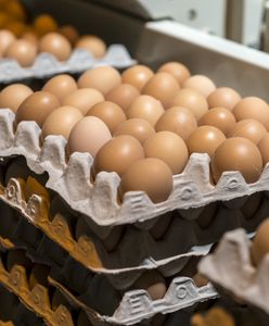 USA proszą Polskę o jajka. Ofert na razie jednak nie ma