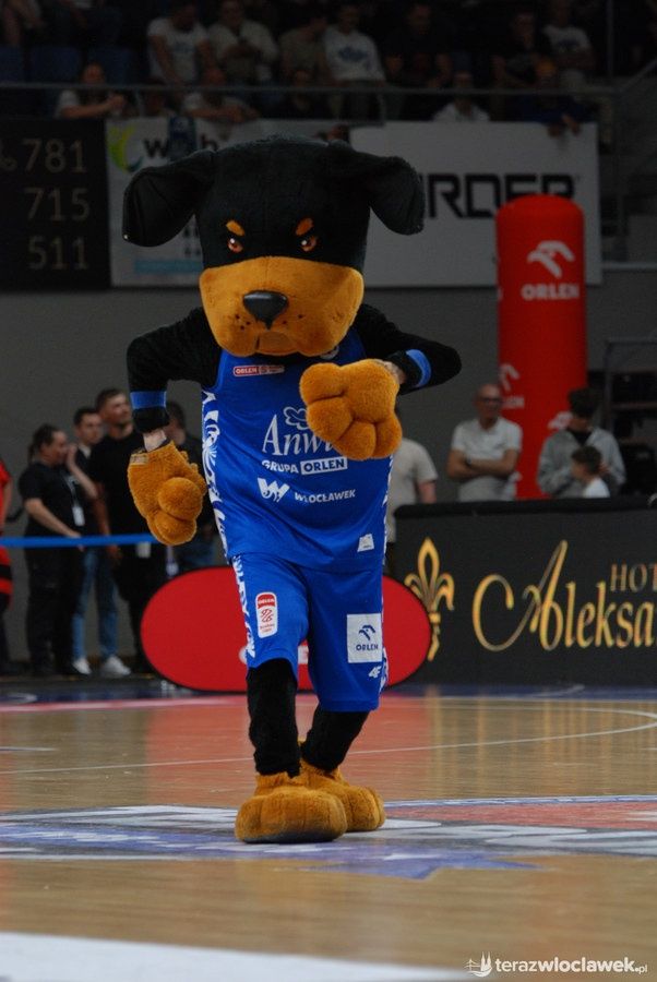 Anwil Włocławek - Energa Trefl Sopot