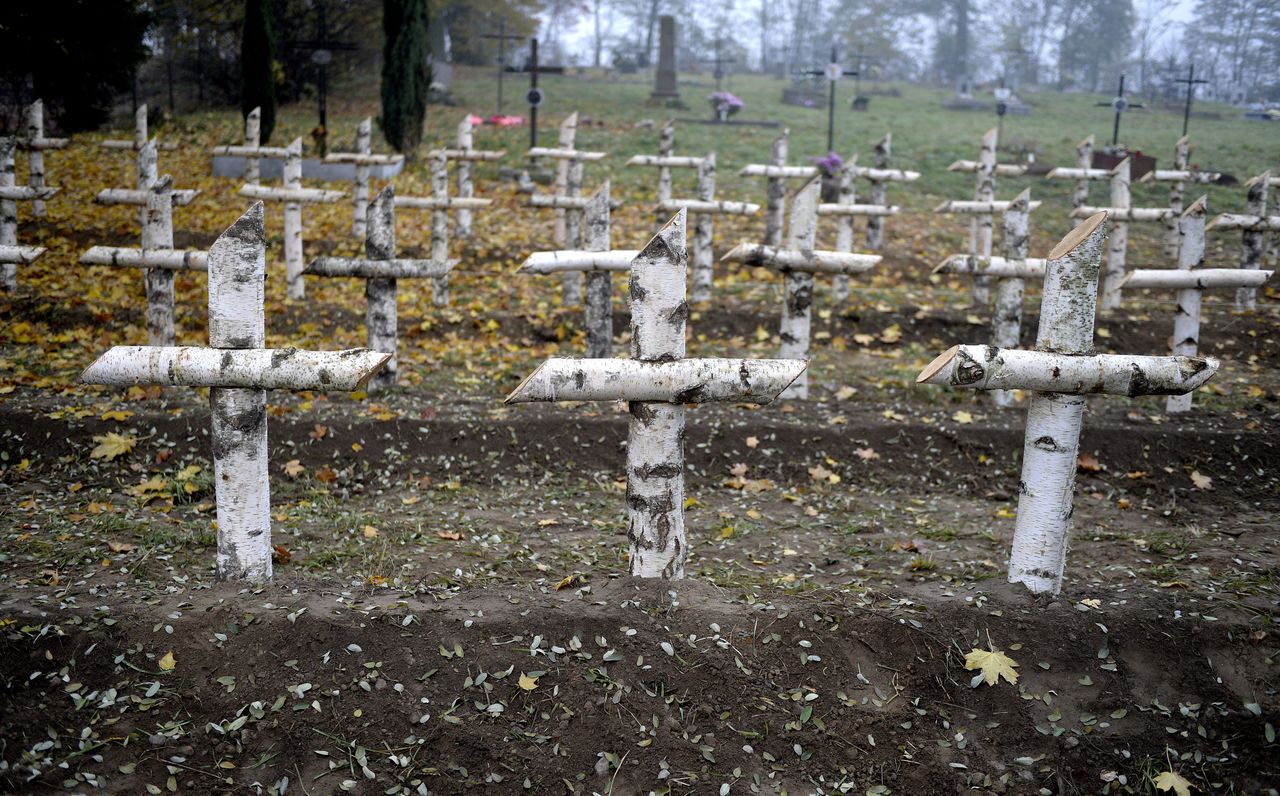 Przełomowa decyzja Ukrainy ws. zbrodni UPA. Rząd nie kryje zadowolenia