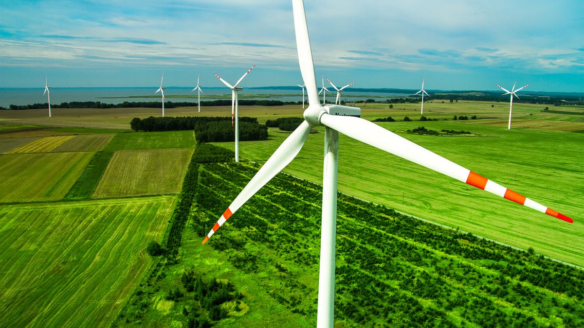 Zdaniem NIK istotną przyczyną zahamowania rozwoju energetyki wiatrowej były restrykcyjne ograniczenia nałożone ustawą z maja 2016 r. o inwestycjach w zakresie elektrowni wiatrowych