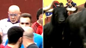 Gwiazdor telewizji poszedł na gonitwę z bykami. Skończyło się fatalnie