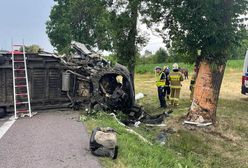 Tragiczny wypadek w Wólce Orłowskiej. Ciężarówka wioząca konie do rzeźni uderzyła w drzewo