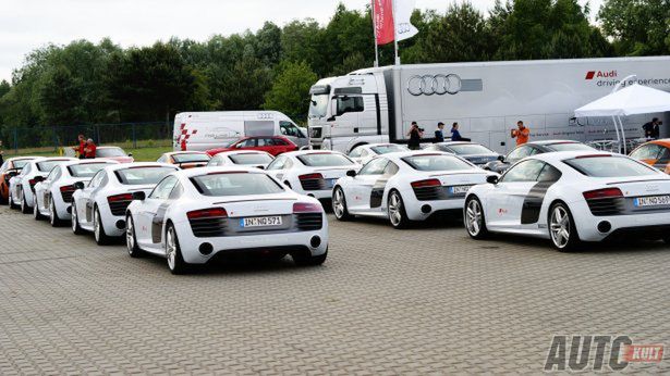 Audi RS4 Avant, RS6 Avant, R8 V10 Plus na Audi Sportscar Experience [pierwsza jazda autokult.pl]