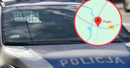 Atak toporkiem w szkole. Oto, co 11-latek wyznał na przesłuchaniu