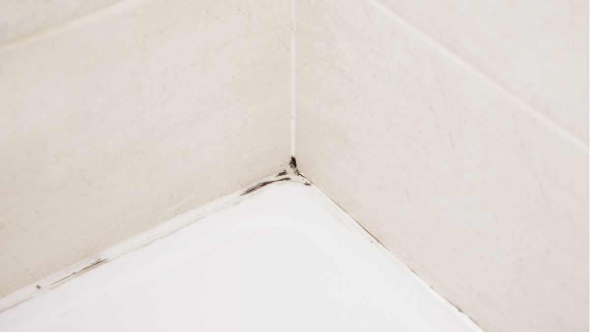 Jak pozbyć się pleśni z fug?