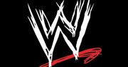 Wrestlingi od THQ do 2014 r.?