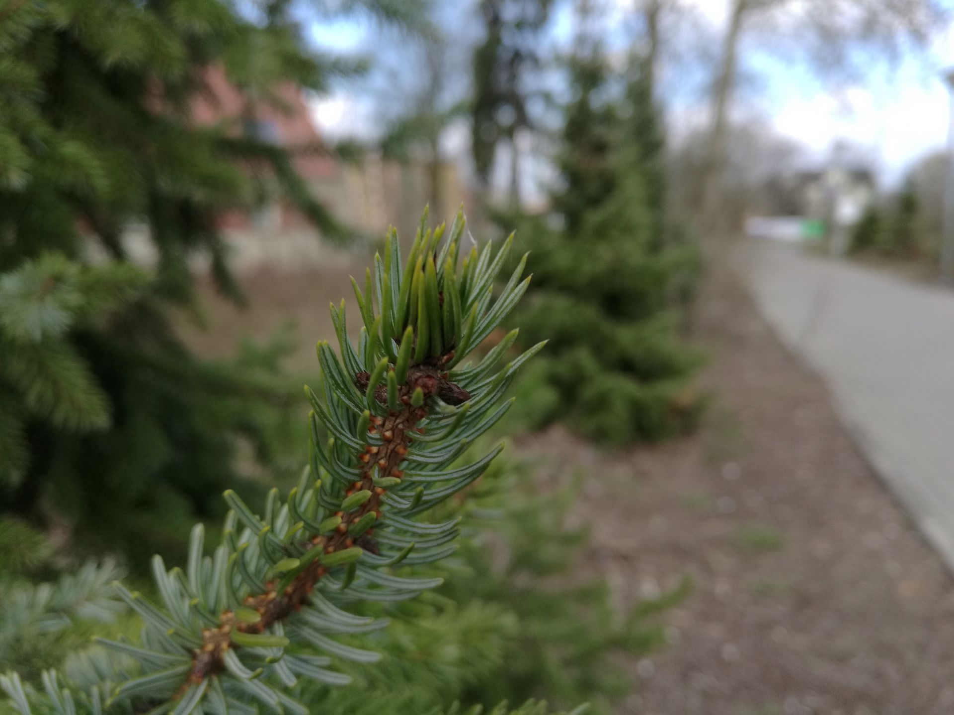 Huawei Mate 8 - test i recenzja 55