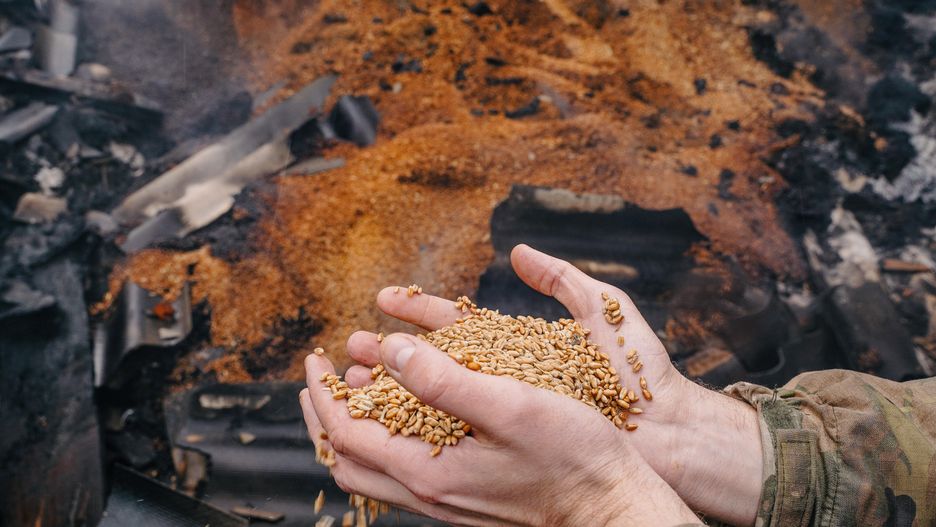 To już przesądzone. Ukraińskie zboże znów będzie płynąć przez Polskę