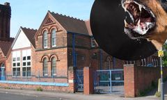 Atak psów w Birmingham. Dzieci zamknięto w szkole.