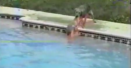 Matka ratuje tonącego szczeniaka! (WIDEO)