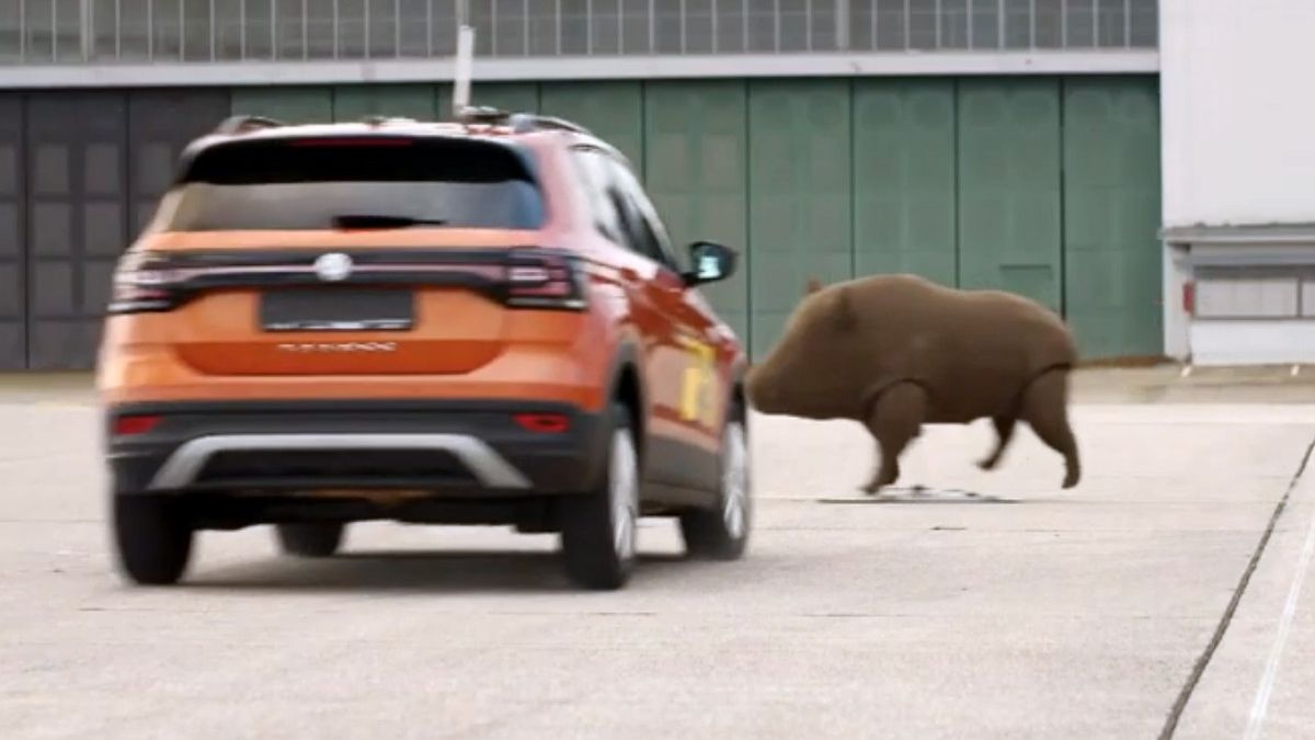 Jadąc przez las, licz tylko na siebie. Elektronika raczej nie pomoże