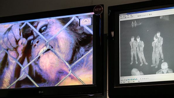 Some passenger from Singapore check body temperature with thermometer infrared by security health worker airport in Soekarno-Hatta International Airport, Jakarta, Indonesia, on May 15, 2019. Singapore announced last week it has detected the first case of monkeypox in the country. A Nigerian visiting the tiny island nation on Apr. 28 had contracted the virus after consuming bushmeat at a wedding in Nigeria. (Photo by Andrew Gal/NurPhoto via Getty Images)NurPhoto