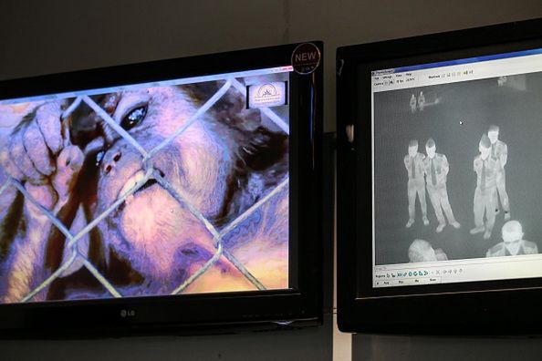 Some passenger from Singapore check body temperature with thermometer infrared by security health worker airport in Soekarno-Hatta International Airport, Jakarta, Indonesia, on May 15, 2019. Singapore announced last week it has detected the first case of monkeypox in the country. A Nigerian visiting the tiny island nation on Apr. 28 had contracted the virus after consuming bushmeat at a wedding in Nigeria. (Photo by Andrew Gal/NurPhoto via Getty Images)NurPhoto