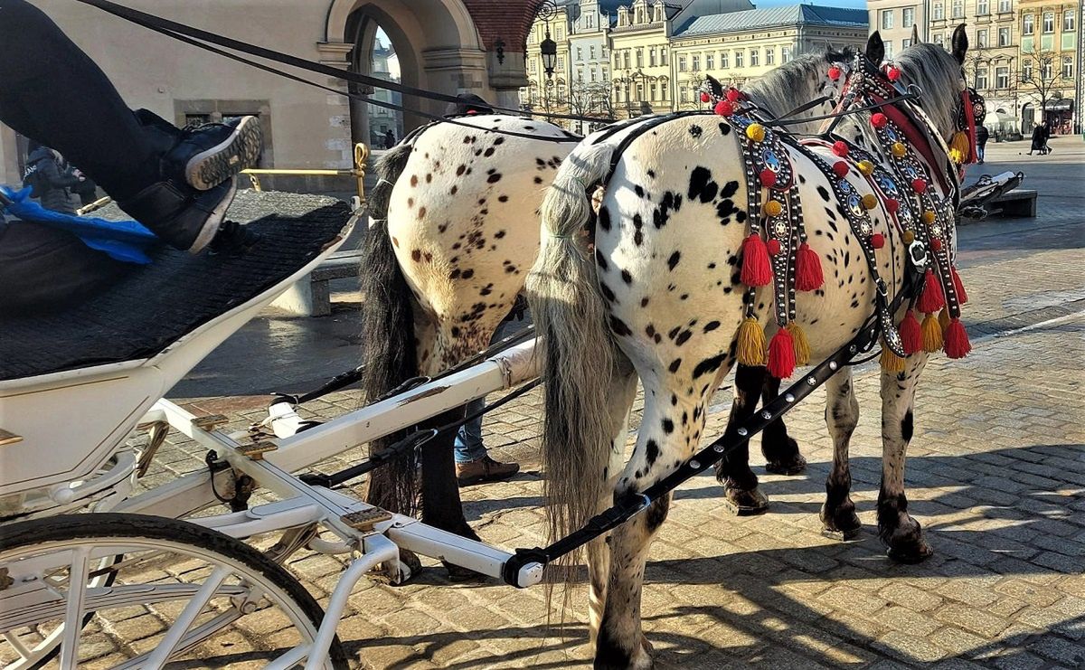 Przejazd dorożką to frajda dla całej rodziny. 