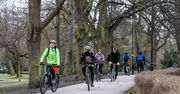 W 2024 r. odnotowano rekordowe natężenie ruchu rowerowego w Gdańsku