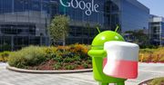 Android w Polsce 2015 - jacy są polscy użytkownicy Androida?