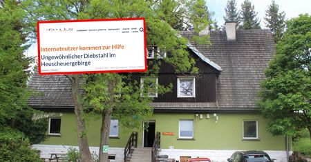 Głośno nawet w Niemczech. Naprawdę to ukradli z polskiego schroniska