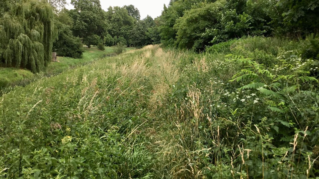 Wrocław. Nowy park na Klecinie. Nieporozumienie czy złe intencje?