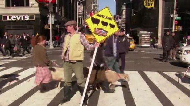 Owce w centrum Nowego Jorku - co to ma wspólnego z grami? 1