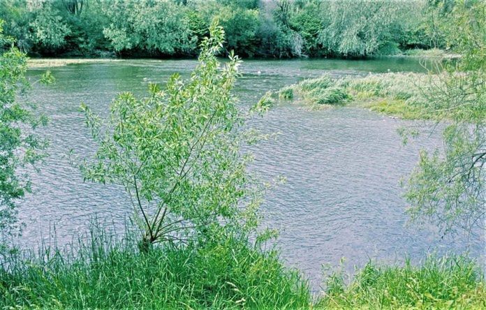 Tragedia nad rzeką w Kętach. Nie żyje 80-letnia kobieta, która wyszła pielić chwasty