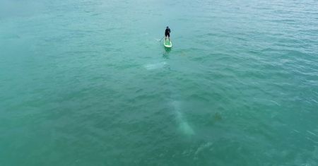 Na desce z gigantem. Surfing w Kalifornii