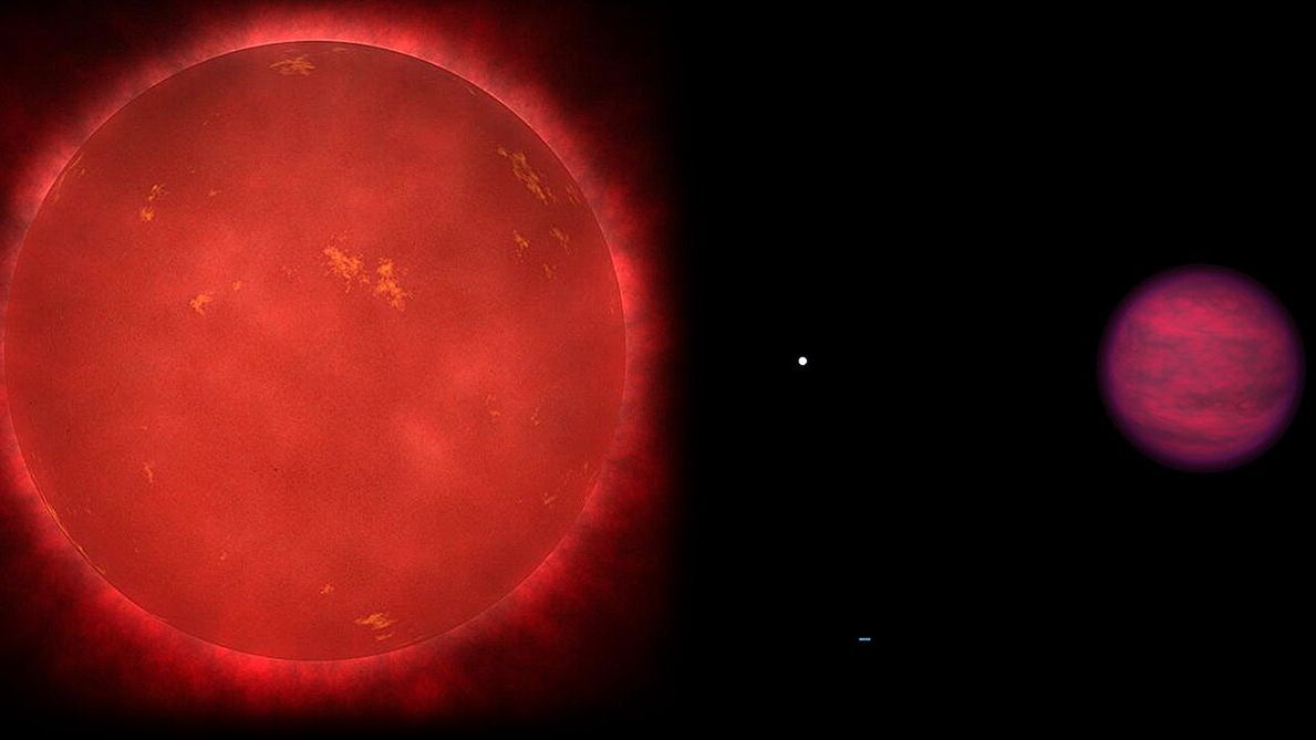 Układ gwiazd Wolf 1130