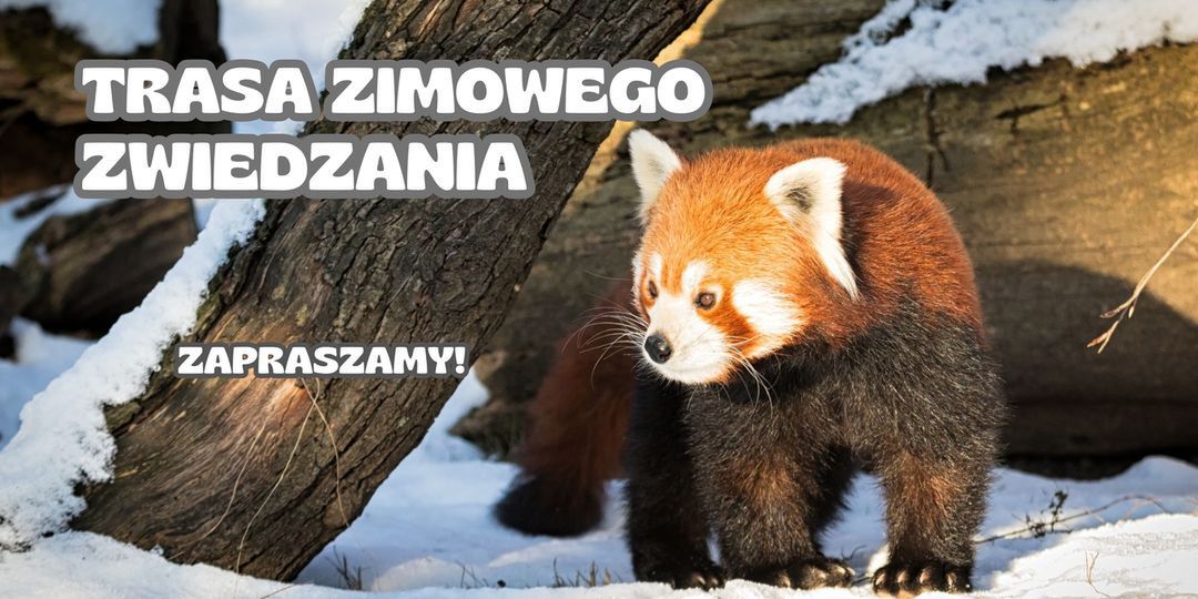 Trasa zimowego zwiedzania ZOO Płock [MAPA]