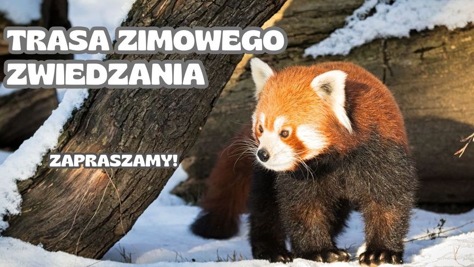 ZOO PŁOCK