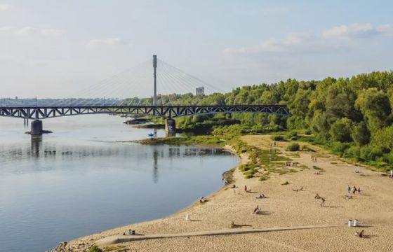 dsk rozpoczyna współpracę z warszawskim Zarządem Zieleni