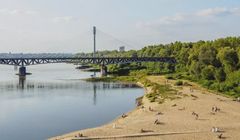 dsk rozpoczyna współpracę z warszawskim Zarządem Zieleni