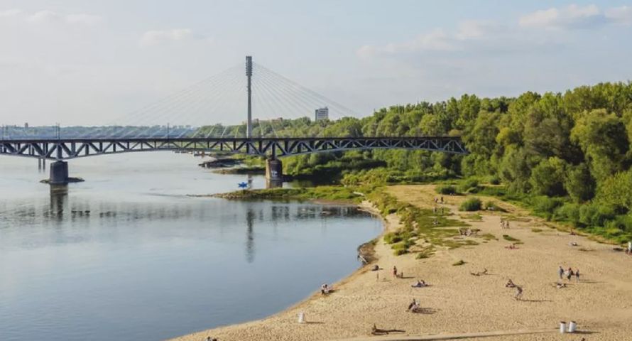 dsk rozpoczyna współpracę z warszawskim Zarządem Zieleni
