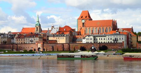 Złe wieści z Torunia. Wyznaczono obszar zagrożony wścieklizną