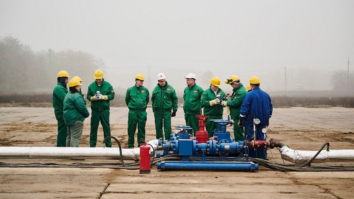 Pracownicy MOL na polu Veces