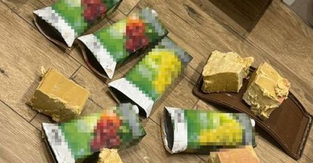 Siatka sabotażystów rozbita w Ukrainie. Zwerbowano ich w sieci