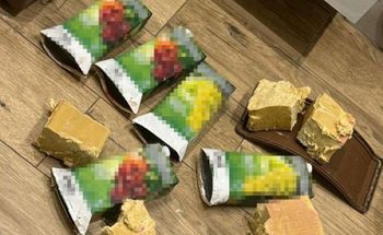 Siatka sabotażystów rozbita w Ukrainie. Zwerbowano ich w sieci