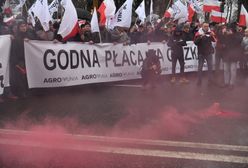 Rolnicy protesują w Warszawie. "Umrzemy śmiercią naturalną"