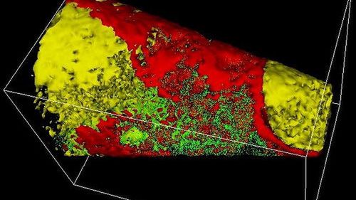 „Egzotyczny” nadprzewodnik i cząstki, których nikt nie widział – podwaliny pod komputery kwantowe(?) 1