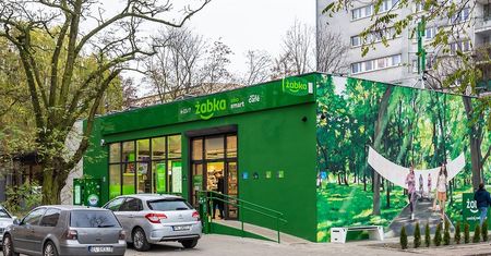 Żabka potrafi zaskoczyć. Teraz oczyszcza powietrze w Łodzi